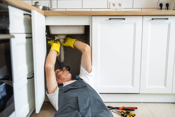Best Commercial Plumbing Services  in Dale, IN