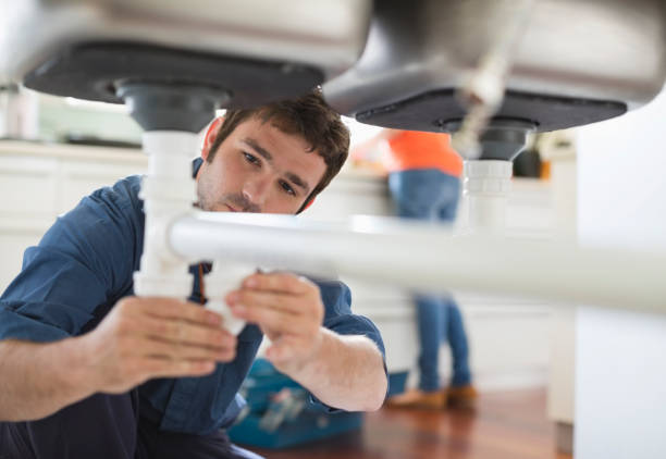 Best Local Plumber Services  in Dale, IN